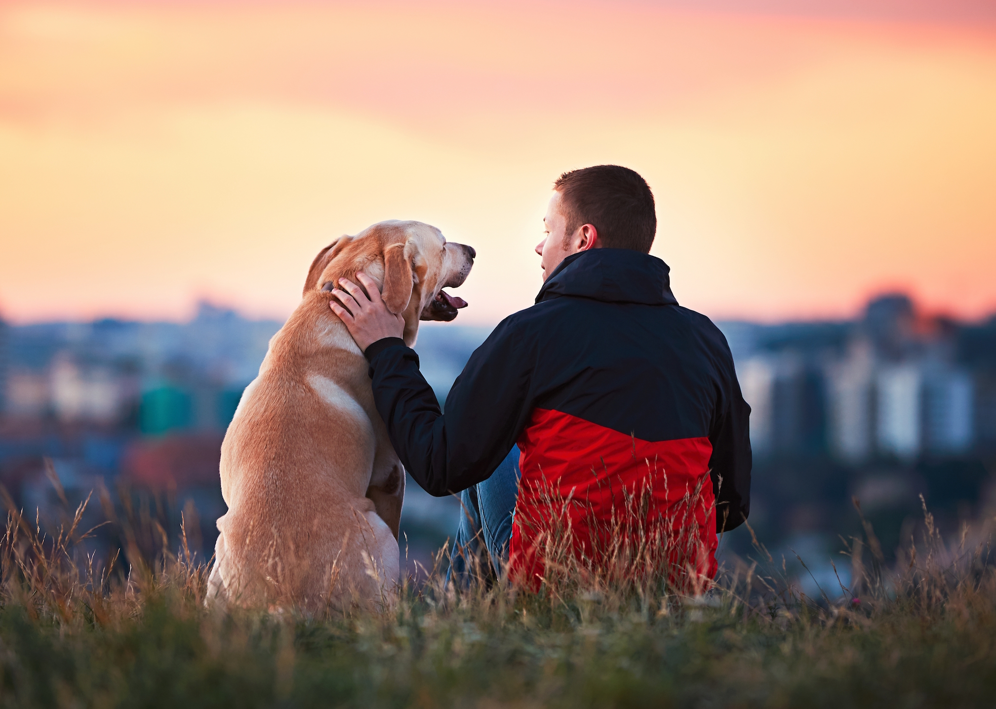 Happy Tails